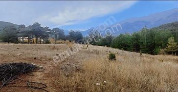 Pozantı Eskikonacık Yaylasında 2016 M2 Tek Tapu Satılık Arsa