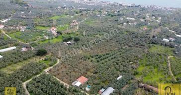 🟨⬛lıon Emlak'tan Erdek Halitpaşa'da Caddeye Yakın Doğa İle İç İçe 160m² Satılık Müstakil Ev⬛🟨