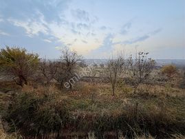 Coldwell Banker Safir'den Samanköy De 30.953 M² Satılık Bahçe