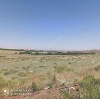 Selcuk Üniversitesi Yanında Ardiclida 1565m2 İçinde Ev Ve Ahir.