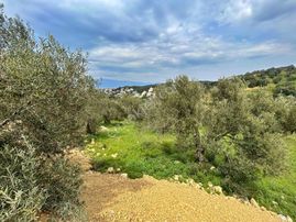 Uytundan Burhaniye Pelitköyde %20 İmarlı 12 Villalık Arsa