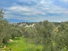 Uytundan Burhaniye Pelitköyde %20 İmarlı 12 Villalık Arsa