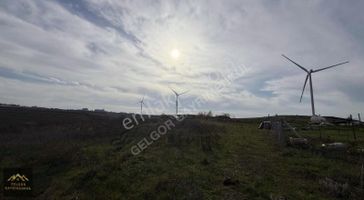 Silivri Fenerköy Yola Cephe 263m2 Köye Yakın Acil Satılık Tarla