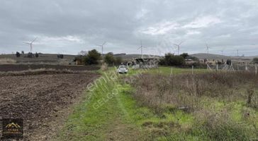 Silivri Fenerköy'de 120m2 Yol Boyu Köye Yakın Satılık Tarla