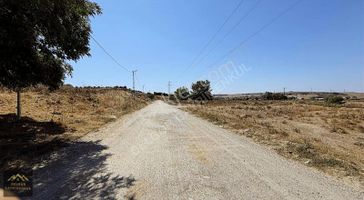 Silivri Değirmenköyde 225m2 İmarlı E-5 Cephe Telle Çevrili Arsa