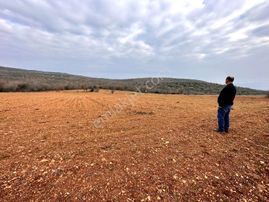 Susurluk Reşadiye Satılık 6200 M² Yatırımlık Tarla