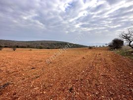 Susurluk Reşadiye Satılık 6200 M² Yatırımlık Tarla