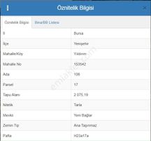 Yenişehir Yıldırım'da Emsallerin Altında Yatırımlık Tarla