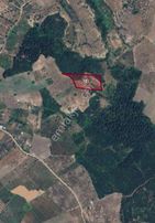 Bursa Mudanya Dedeköy 9300m2 Satılık Tarla