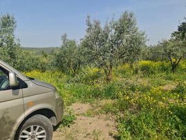 Bursa Mudanya Dedeköy 9300m2 Satılık Tarla