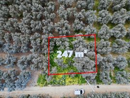 İznik Boyalıca/kılıçta Elektrik Ve Suyu Olan Göle Yakın Arazi