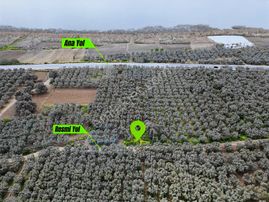 İznik Boyalıca/kılıçta Elektrik Ve Suyu Olan Göle Yakın Arazi