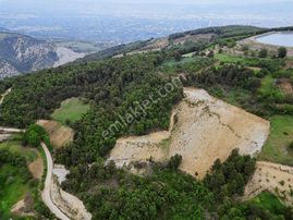 İnegöl Sarıpınar Köyünde Tek Tapu 10.500 M² Tarla