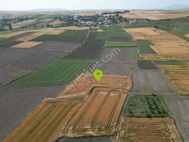 Gönen Killik'te 3000m2 Köye Yakın Konumda Verimli Tarla