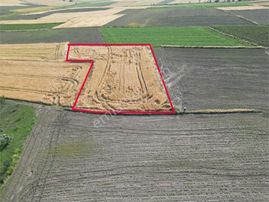 Gönen Killik'te 3000m2 Köye Yakın Konumda Verimli Tarla