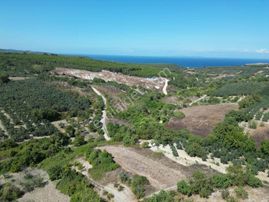 Esencede 1.750 M² Hisseli Arazi Deniz Manzaralı Yakın