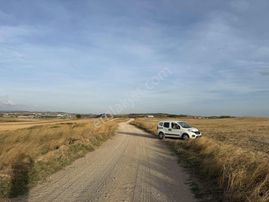 Bandırma Doğrucada 4.876 M2 Köye Yakın Çift Yola Cephe Tarla