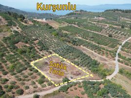 Gündoğduda 3.920 M² Tek Tapu Araç Takasına Açık