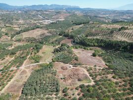 Gündoğduda 3.920 M² Tek Tapu Araç Takasına Açık