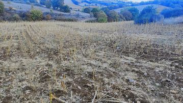 Reşadıyede Gelişen Bölgede 20 Dönüm Yatırıma Uygun Tarla