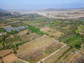 Bursa Kestel Gözede Köyünde Satılık Tarla 6.766 M² Tek Tapu