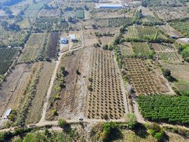 Bursa Kestel Gözede Köyünde Satılık Tarla 6.766 M² Tek Tapu