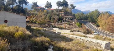 Asfalt Yola Sıfır Doğa Manzaralı