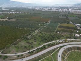 Yıldırım Samanlıda 15.600 M² Asfalta Cephe Yatırımlık Tarla