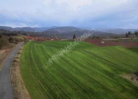 Asfalt Yol Yanı Çeşme Dibi 3 Dönüm Harika Konum Kaçmaz Fırsat !!