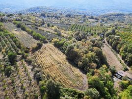 Acil Gözede Köyü 3676 M² Kullanım Alanı 4200 M2 Yerleşime Yakın