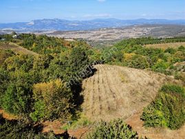 Acil Gözede Köyü 3676 M² Kullanım Alanı 4200 M2 Yerleşime Yakın