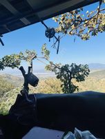 Efeler Sıralılarda 8 Dönüm Eşsiz Zeytinlik