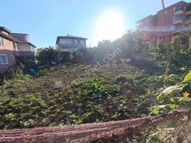 E.g.a Gayrimenkul Çerli Konut İmarlı Köşe Arsa !!!