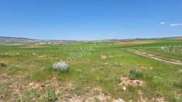 Pratik Den // Baraj Manzaralı Satlık Tarla