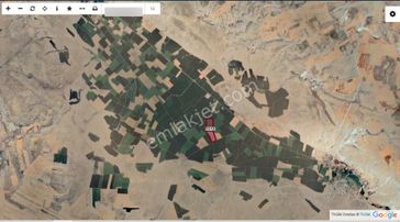 Talha Tozdumandan Pınarbaşında Yolayakın/su/elektrk Mevcut Mstkl