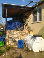 Sahibinden Satılık Verime Yatmış 11 Yaşında Kapama Ceviz Bahçesi