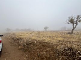 Öz Gaye Emlaktan Develi Tombak Bekçitepesi Mevkinde Satılık Arazi