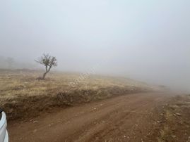 Öz Gaye Emlaktan Develi Tombak Bekçitepesi Mevkinde Satılık Arazi