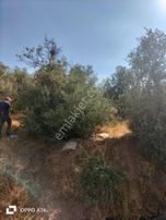 Kemalpaşa Bağyurdunda Satılık Arsa