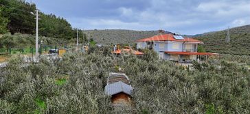 Urla'da İçinde Villa Bulunan Satılık Zeytinlik