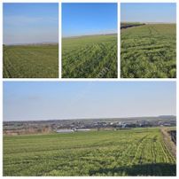 1164 M2 Satılık Tarla Kapaklı Uzunhacıda