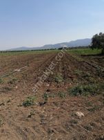 Balcity - Manisa Kırkağaç'da İlçeye Yakın 3.423 M2 Tarla