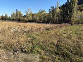 Erenkaya Bulumya Deresi Cepheli Kadastro Yolu Olan Bahçe