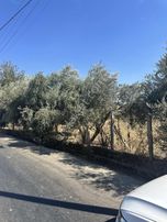 Emir Yapıdan 870 Mt İmarlı Arsa