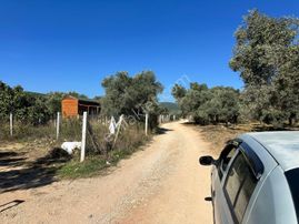 Emir Yapı'dan Acil Satılık Arsa