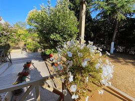 Şekerpınar'da Şehrin Göbeğinde Bahçeli Müstakil Ev