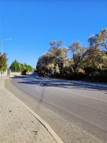 *denize Yakın Çeşmealtı'nda Kazançlı Yatırım Zeytinlik*