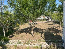 Değirmendere'de Ağaçları,çiçekleri.bahçesi Dikili Hobi Bahçesi