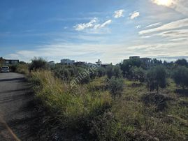 Manavgat Hatıplar Da Hisse Tapulu Yer