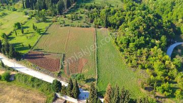 Karamürsel İnebeyli'de 33 Dönüm Süper Konumda Satılık Tarla